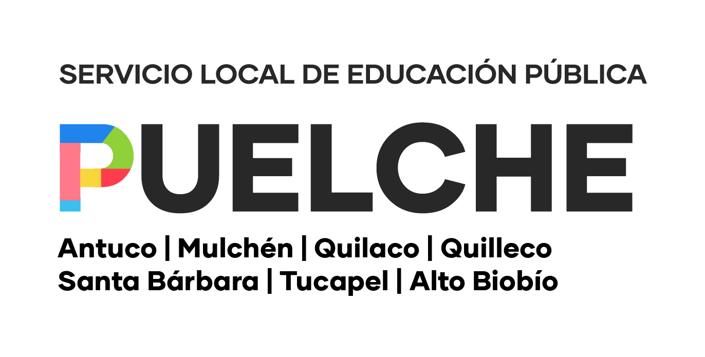 Logo institucional de SLEP Puelche